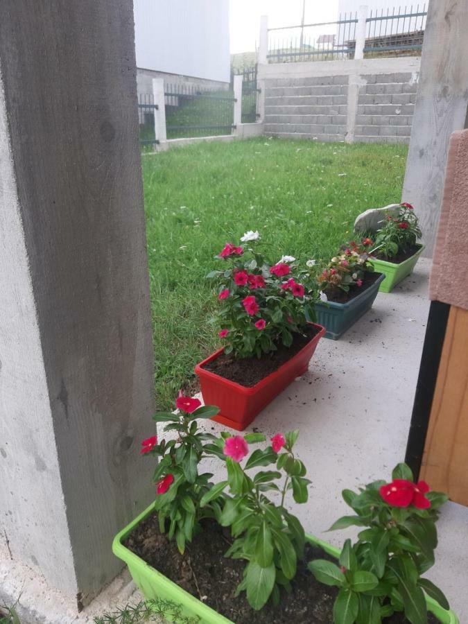 Apartments Andriyana Zabljak  Bagian luar foto